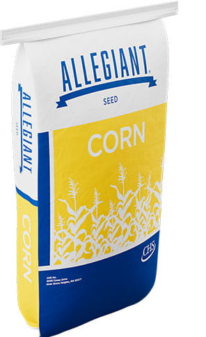 Allegiant corn bag