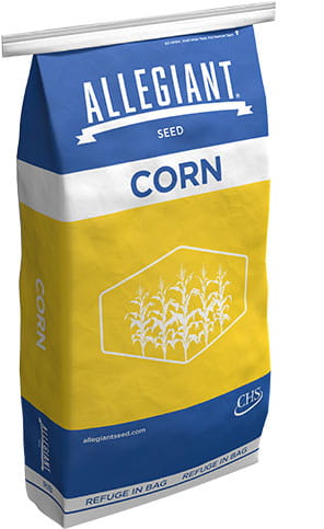 Allegiant corn bag