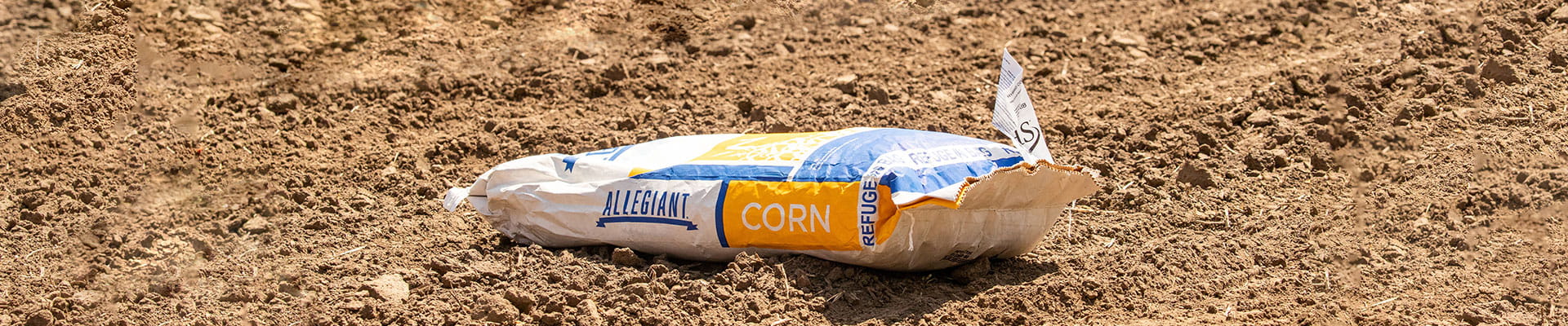 Corn bag laying in a field