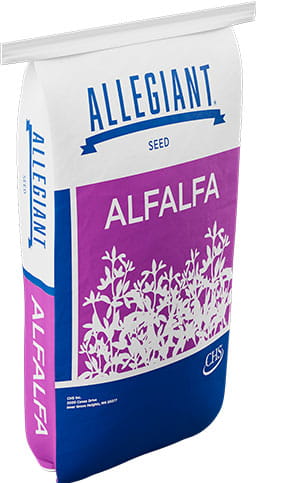 Allegiant alfalfa bag