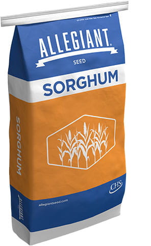 Allegiant sorghum bag