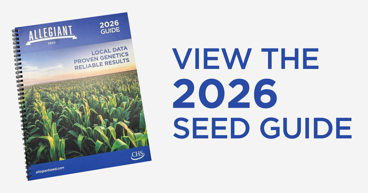 Allegiant 2026 guide. Local data. Proven genetics. Reliable results.