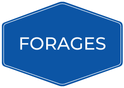 Forages
