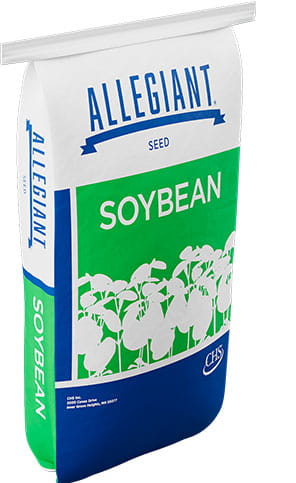 Allegiant soybean bag