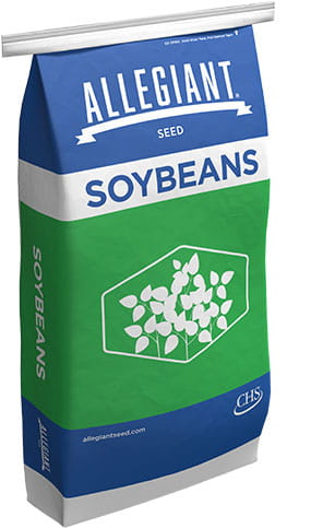 Allegiant soybean bag