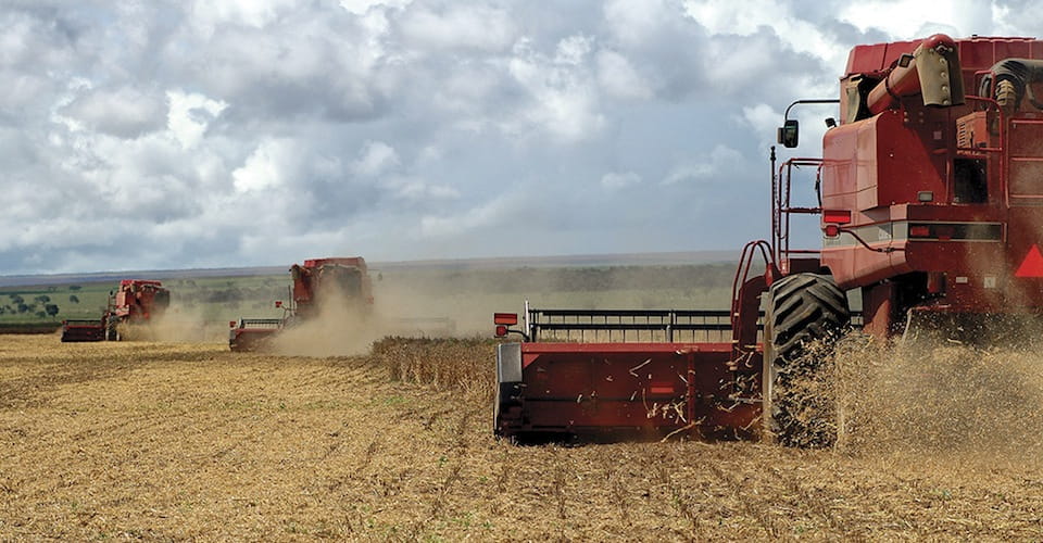 Three combines harvesting a field together
