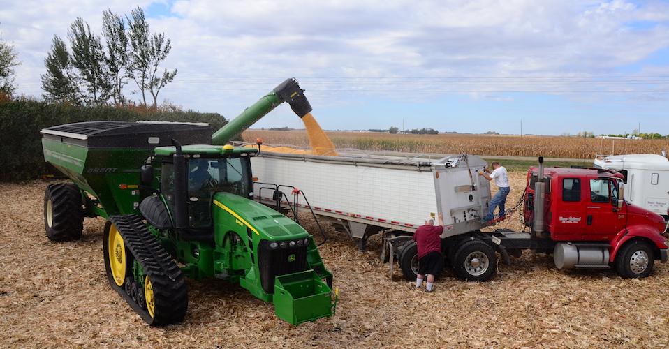 Combine unloading into semi.