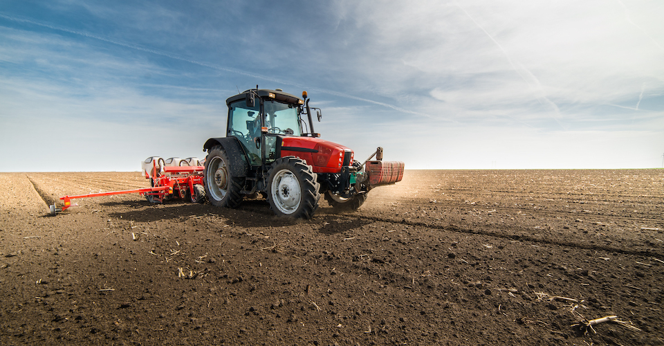 Planting a field