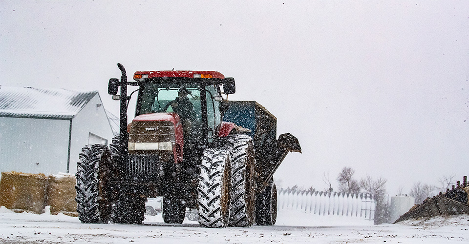 Snowy tractor driving down the farm path in front of a barn