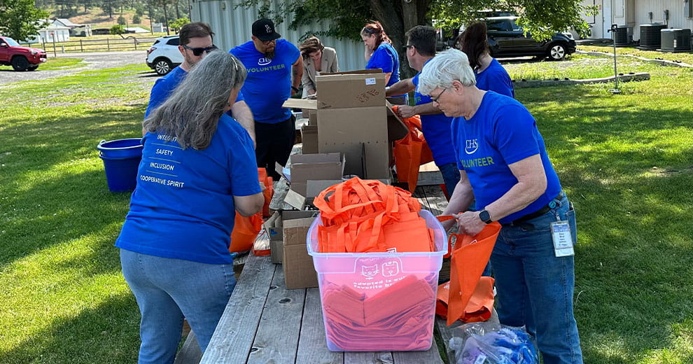 CHS employees volunteering
