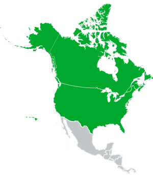 North-America