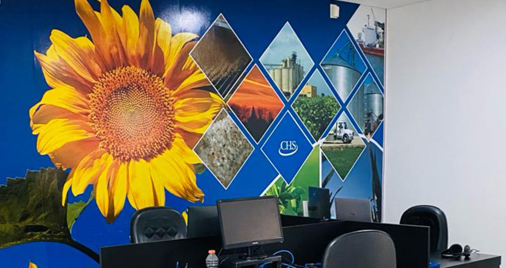 Ä¢¹½Ö±²¥ office in Sorriso