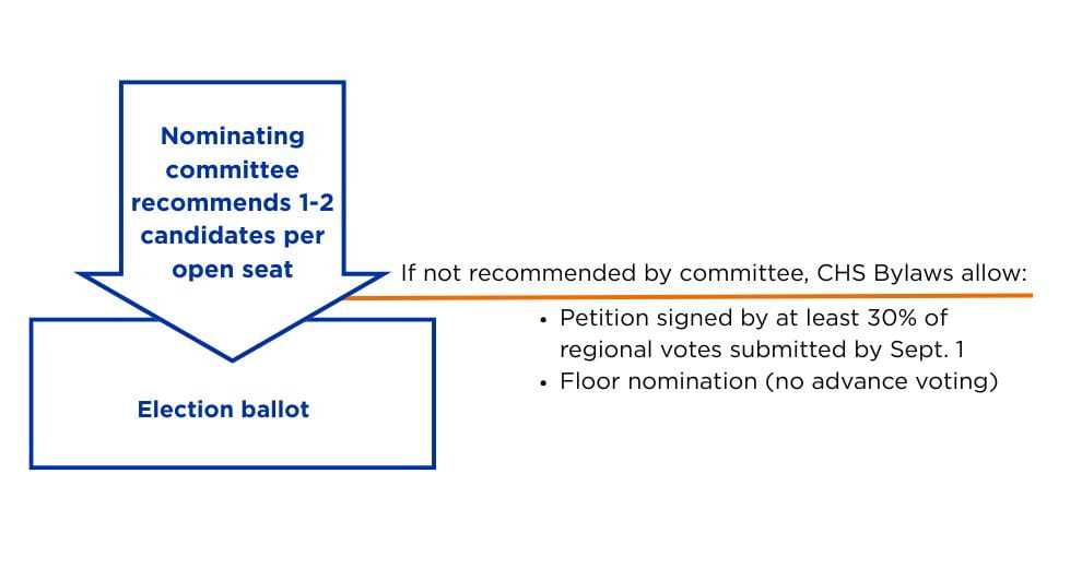Graphic indicating steps to become a CHS Board candidate