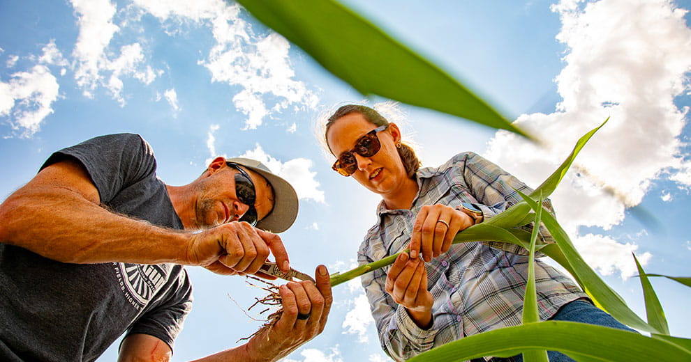 CHS board members in a field