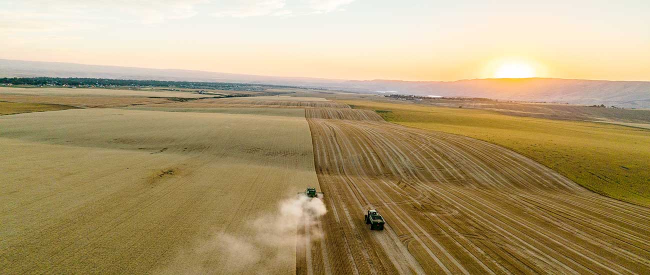tractors in field at sunset