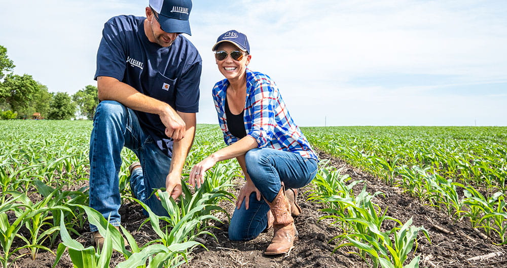 Two people checking on crops in a field