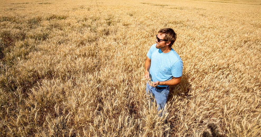 Man standing in a wheat field