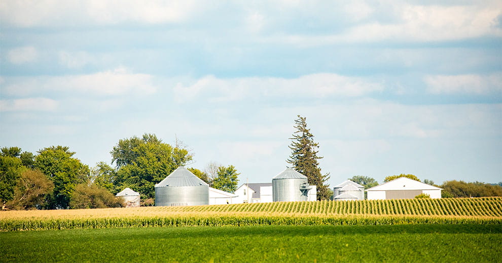 Farm and field under a blue sky with white clouds
