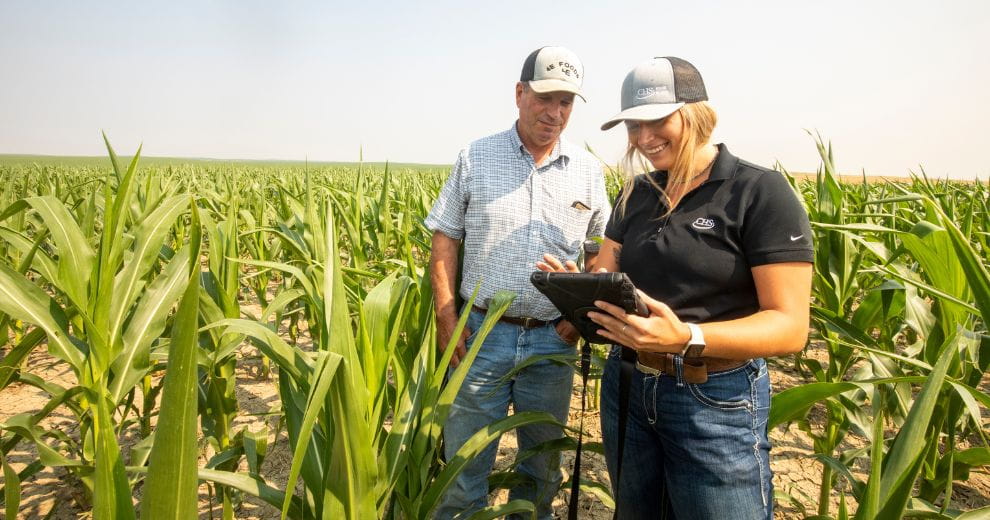 Two people looking at a tablet. 