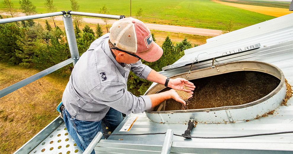 Producer holding harvested grain granules