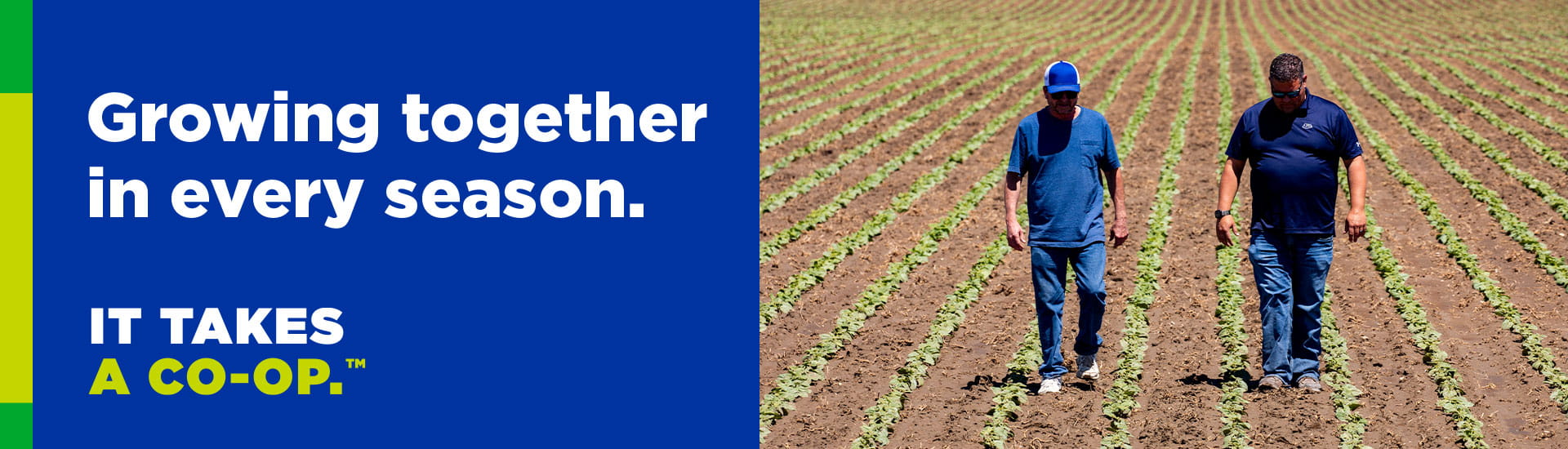Growing together it every season. It Takes a Co-op. 