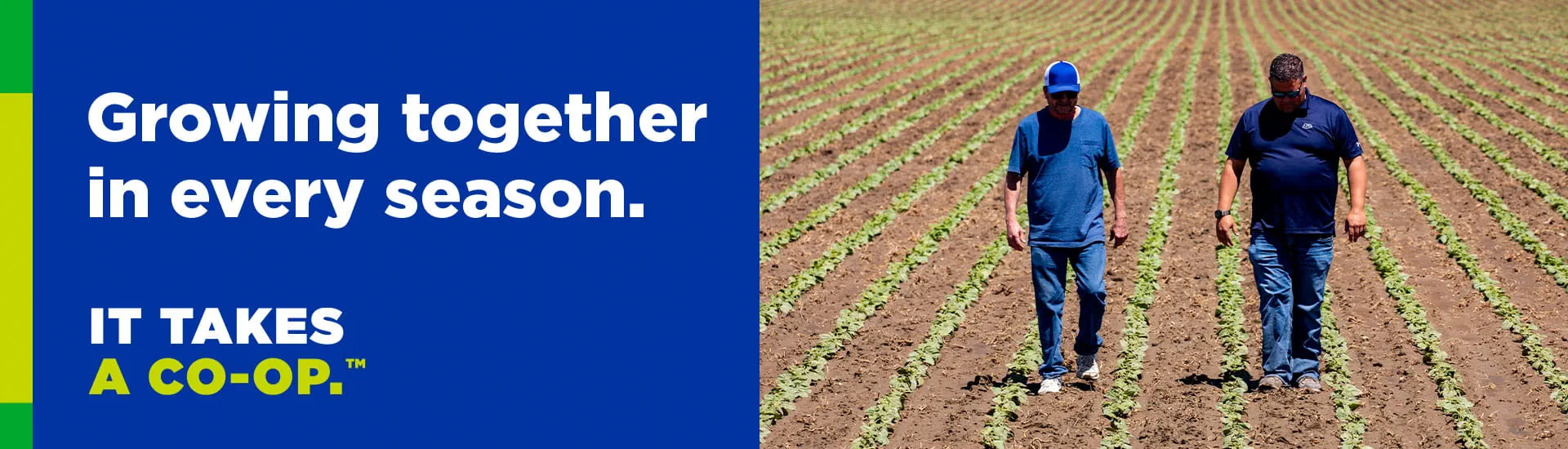Growing together it every season. It Takes a Co-op. 