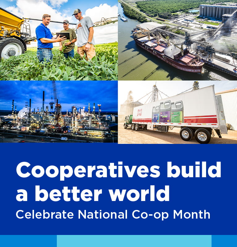 Cooperatives build a better world - Celebrate National Co-op Month