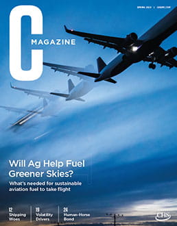 Cover of Ģ��ֱ�� C magazine Spring 2024