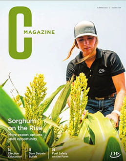 Cover of Ģ��ֱ�� C Magazine Summer 2024