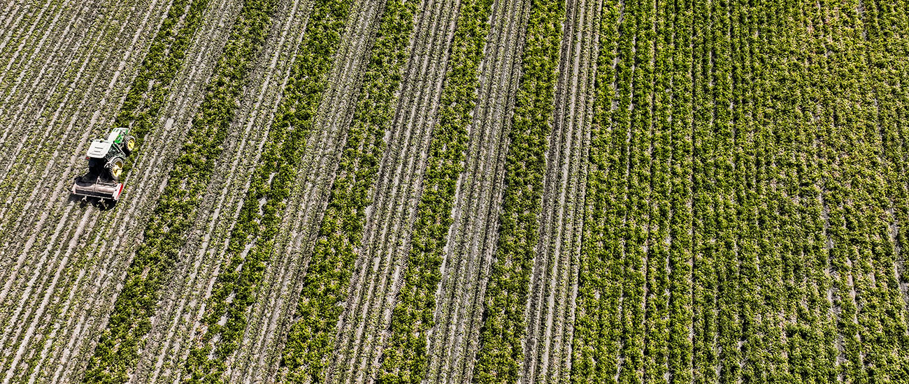 tractor in field