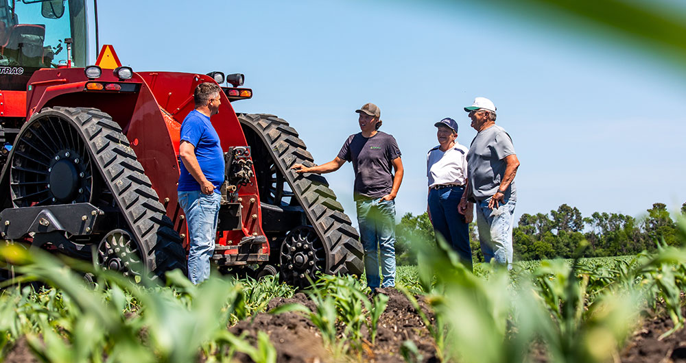 Discussion in the field