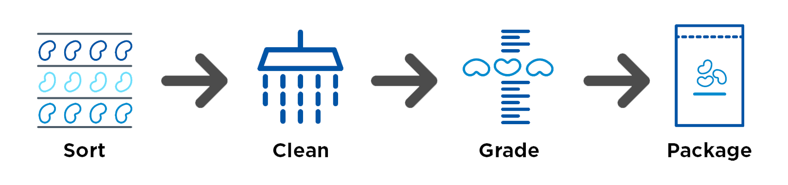 Beans processing graphic