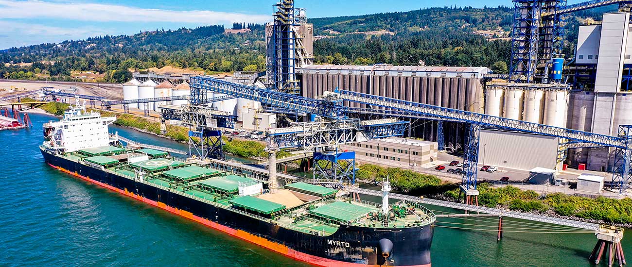 ship loading at grain port