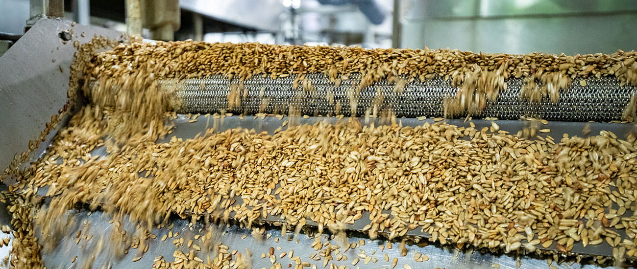 sunflowers in a processing plant