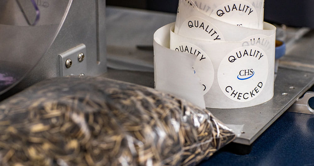 sunflower-quality-checked