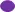 Purple oval