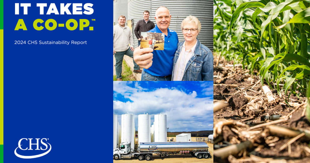 CHS Sustainability Report