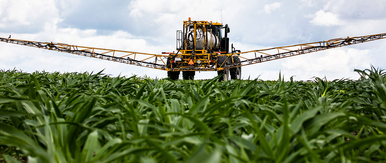 Spraying field