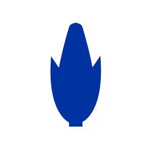 Corn icon