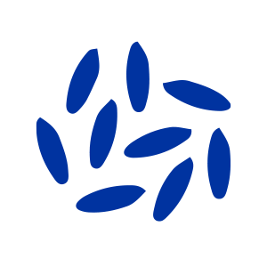 Rice icon