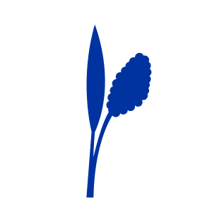 Sorghum icon