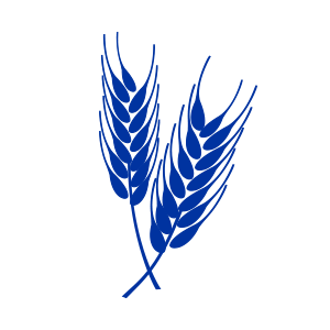 Triticale icon