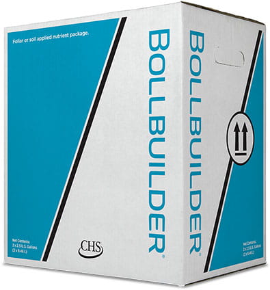 Bollbuilder box