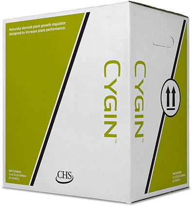 Cygin box