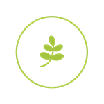 Improving nutrient management icon