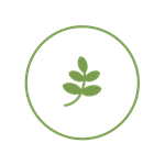 improving nutrient management icon