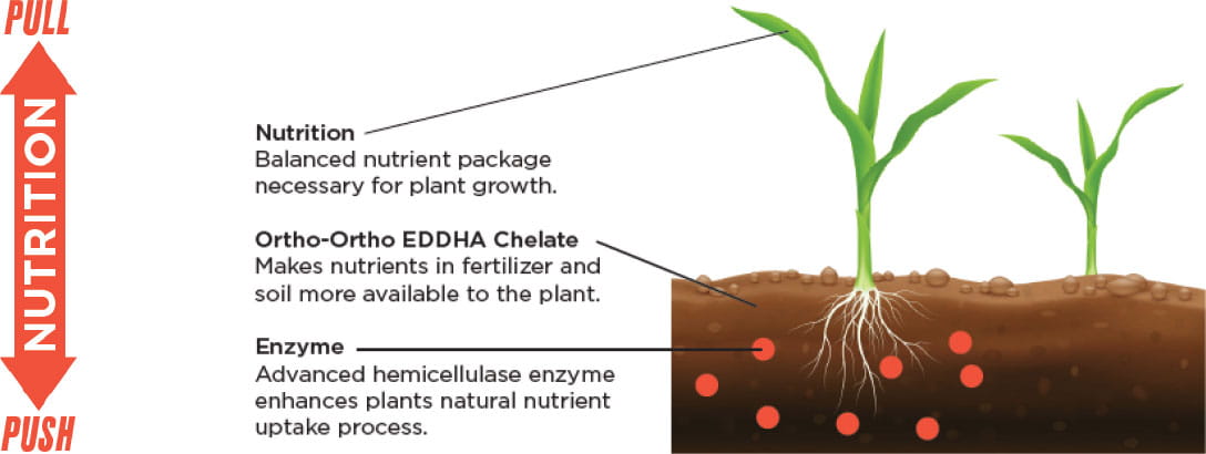 Pull/push nutrition. Nutrition, ortho-ortho EDDHA chelate. Enzyme.