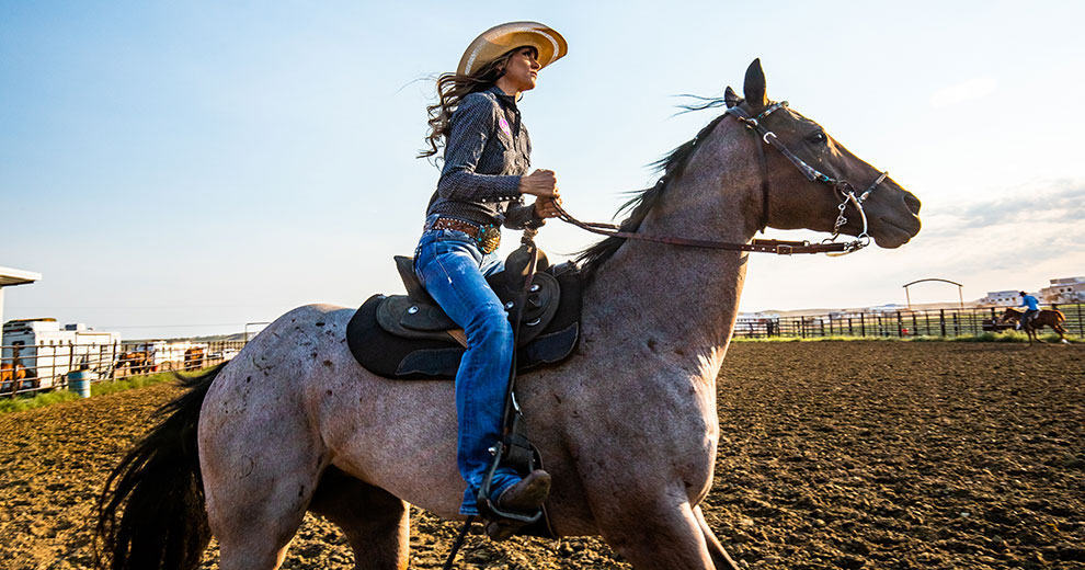 woman riding horse woman riding horse