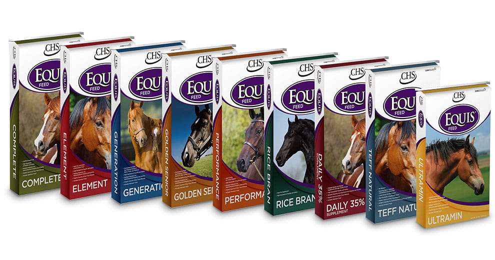 9 Equis feed bags 9 Equis feed bags