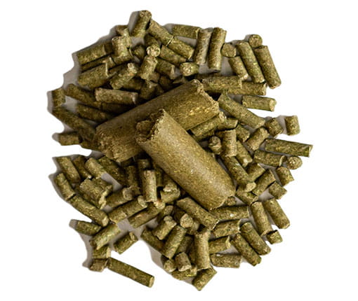 Pile of Equis Complete horse feed pellets